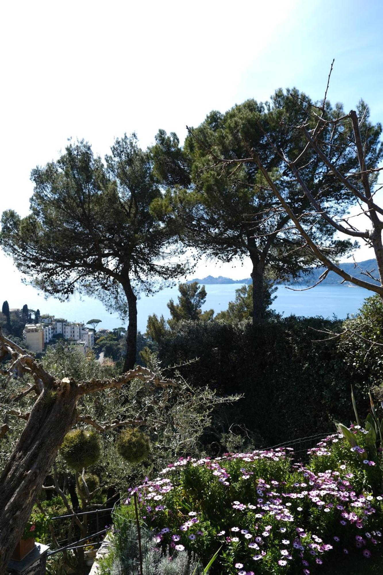 L'Alcova Tra Gli Ulivi By Portofinovacanze Zoagli Exterior foto