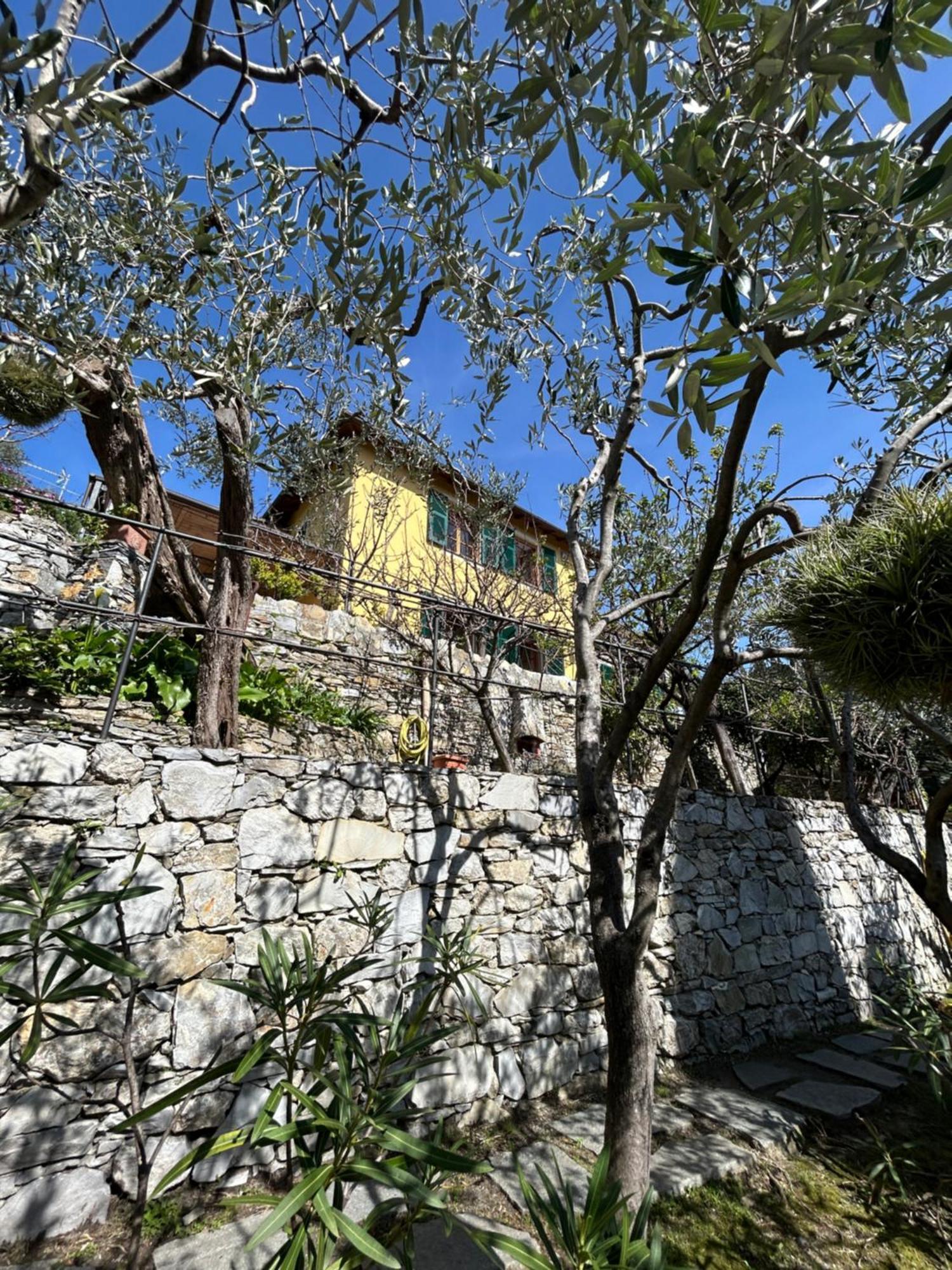 L'Alcova Tra Gli Ulivi By Portofinovacanze Zoagli Exterior foto