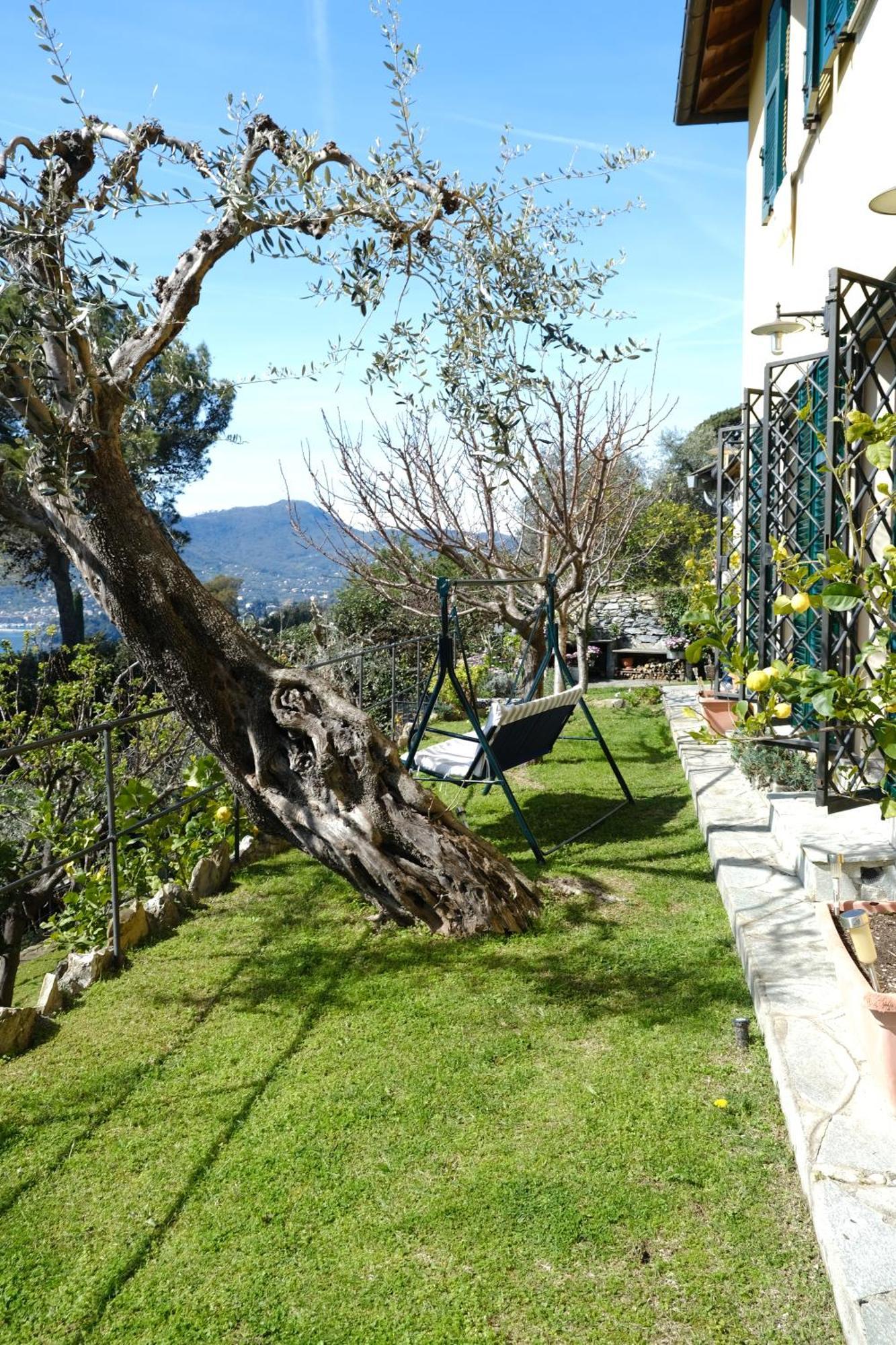 L'Alcova Tra Gli Ulivi By Portofinovacanze Zoagli Exterior foto